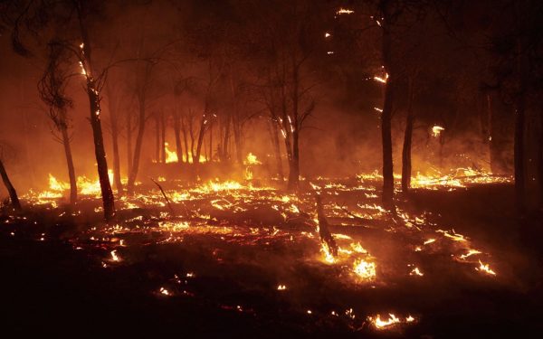 Tragedie în Spania: 12 morți, majoritatea străini, șocați de incendii