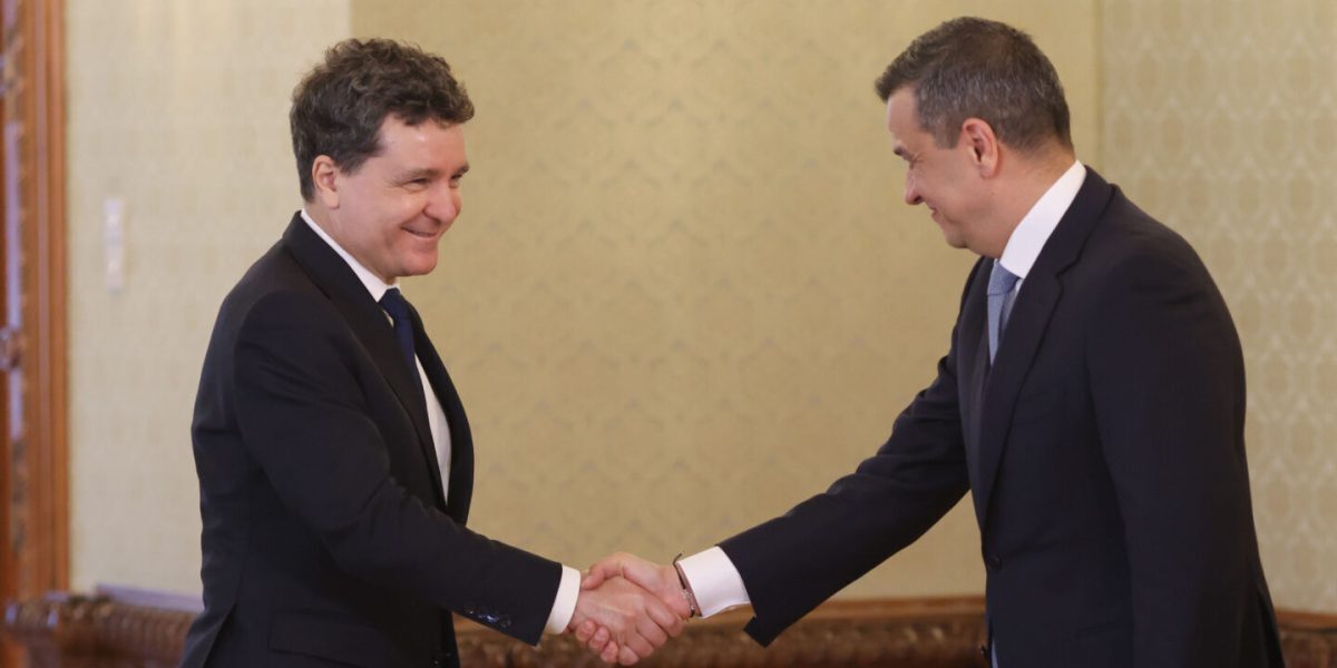 Nicosor Dan, furios pe PSD: Legile PNRR blocate