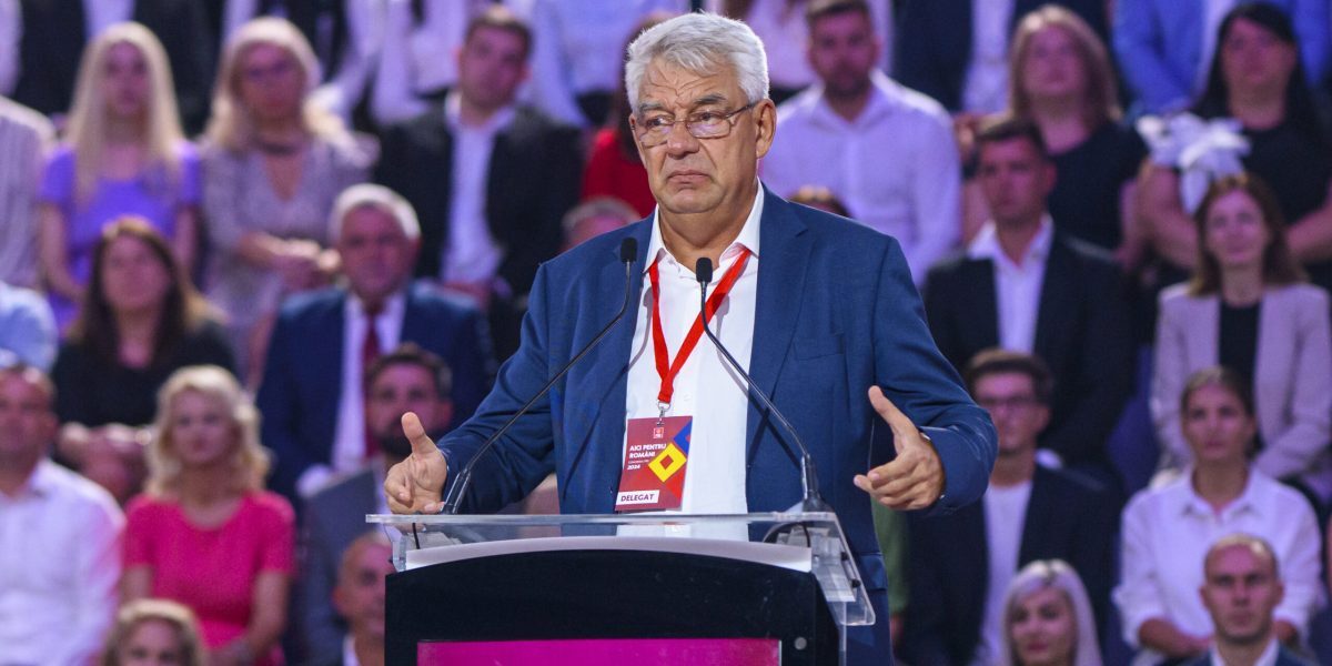 Tudose, atac la Guvern: Interimarii, 45 de zile maxim