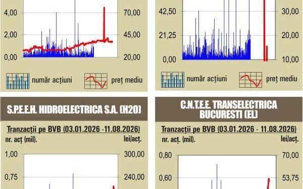 BVB: Majoritatea indicilor în roșu – 12 august 2026
