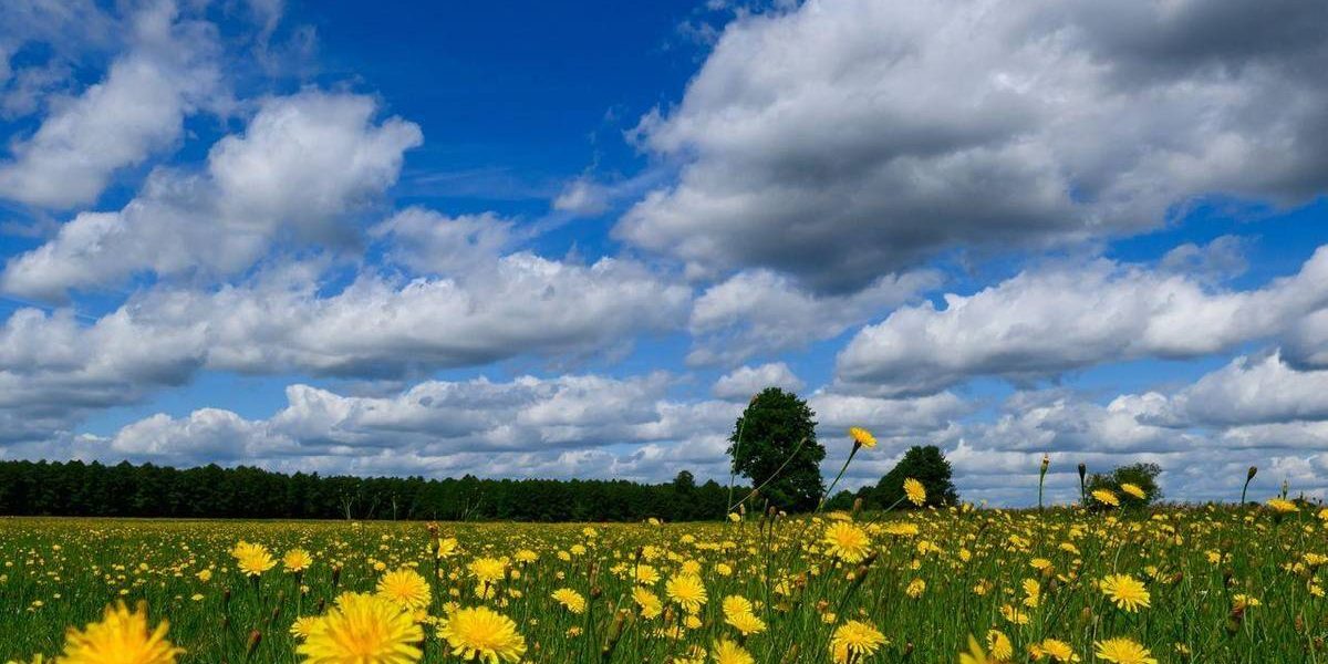 Caniculă înainte, azi răcoare: 36 de grade în weekend