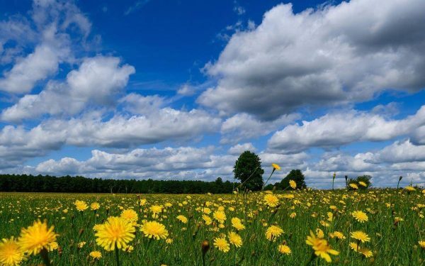 Caniculă înainte, azi răcoare: 36 de grade în weekend