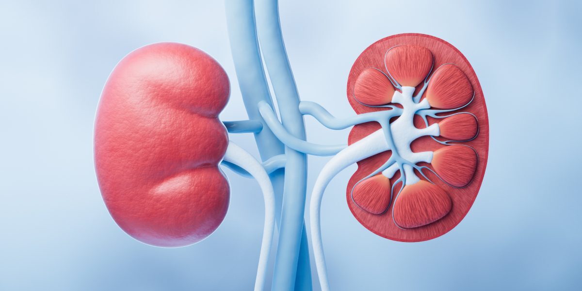 Culoarea urinei, semn al bolilor la rinichi. Ce spun medicii