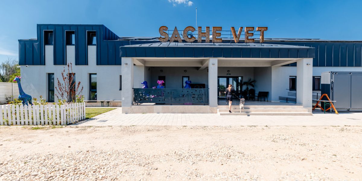 Spital veterinar nou, la o oră de București, deschide ușa pentru mii de animale