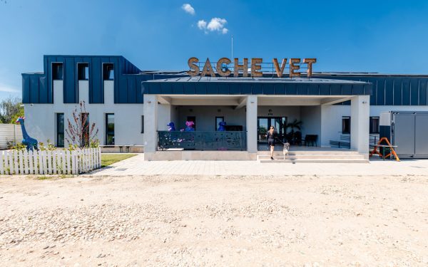 Spital veterinar nou, la o oră de București, deschide ușa pentru mii de animale