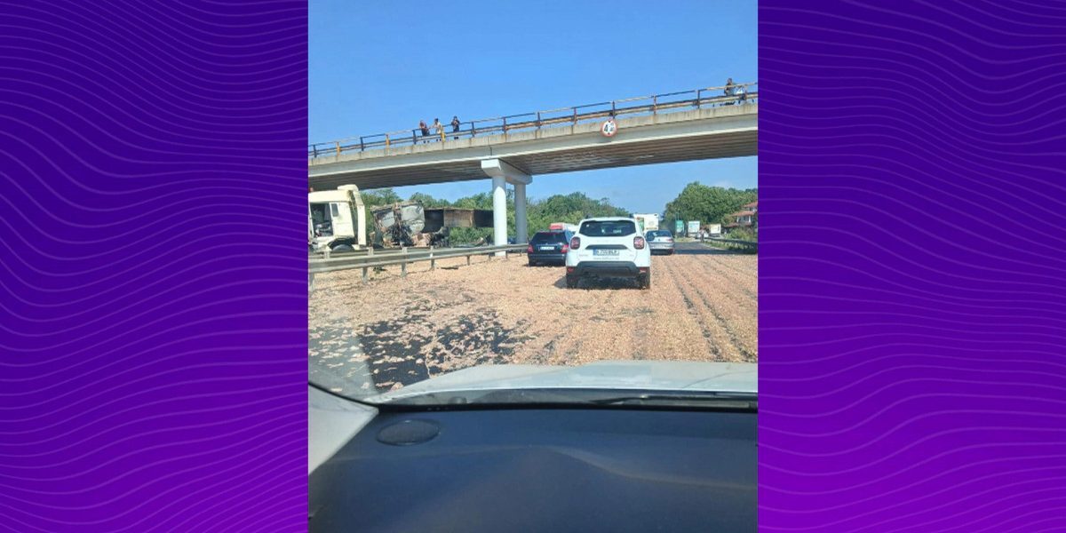 Haos pe A1: TIR cu pui, coliziune la picior de pod, marfă pe șosea