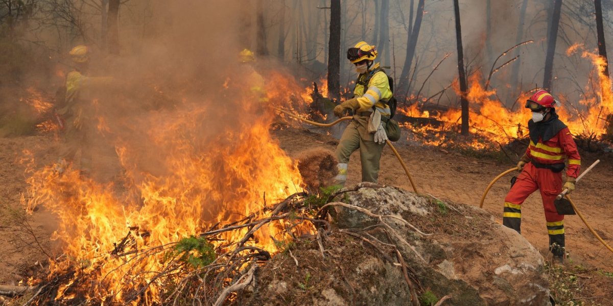 MAE: Români afectați de incendiile din Grecia, confirmați