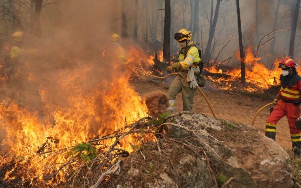 MAE: Români afectați de incendiile din Grecia, confirmați