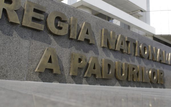 Romsilva, sute de achiziții fără licitație: motivul arată grav