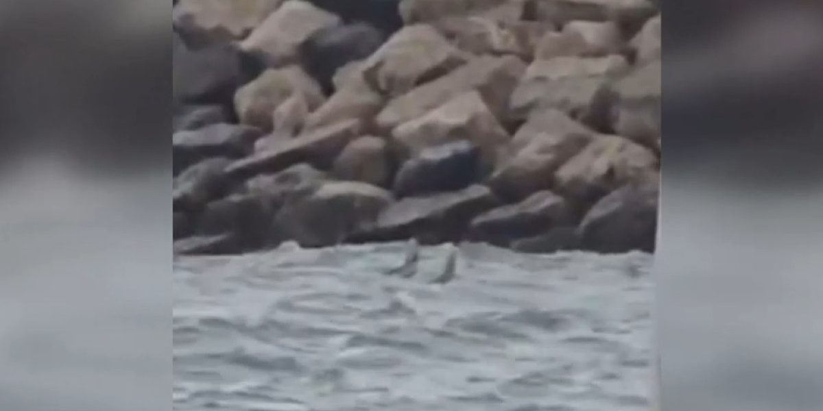 Fragment dronă în mare la Costinești. Zonă evacuată