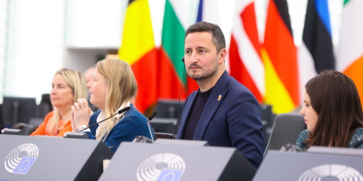 Ștefănuță, către Ungaria: Salvați finanțarea culturii maghiare din Ardeal