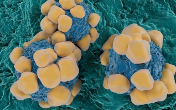Viagra luptă cu cancerul: O moleculă-cheie, marea speranță