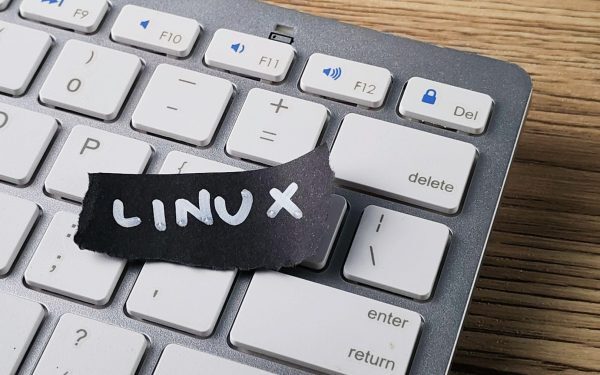 Linux: 35 de ani de la proiect de student la hegemon global