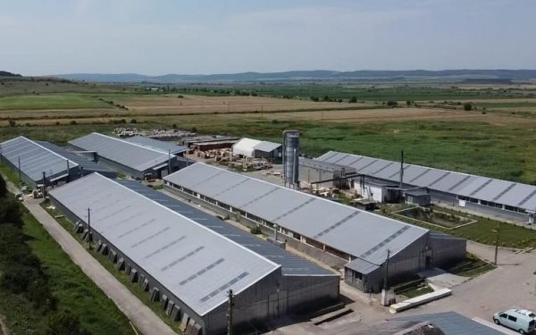 Roca Industry, conturi blocate: Refuză plata pentru Workshop Doors