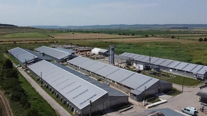 Roca Industry, conturi blocate: Refuză plata pentru Workshop Doors