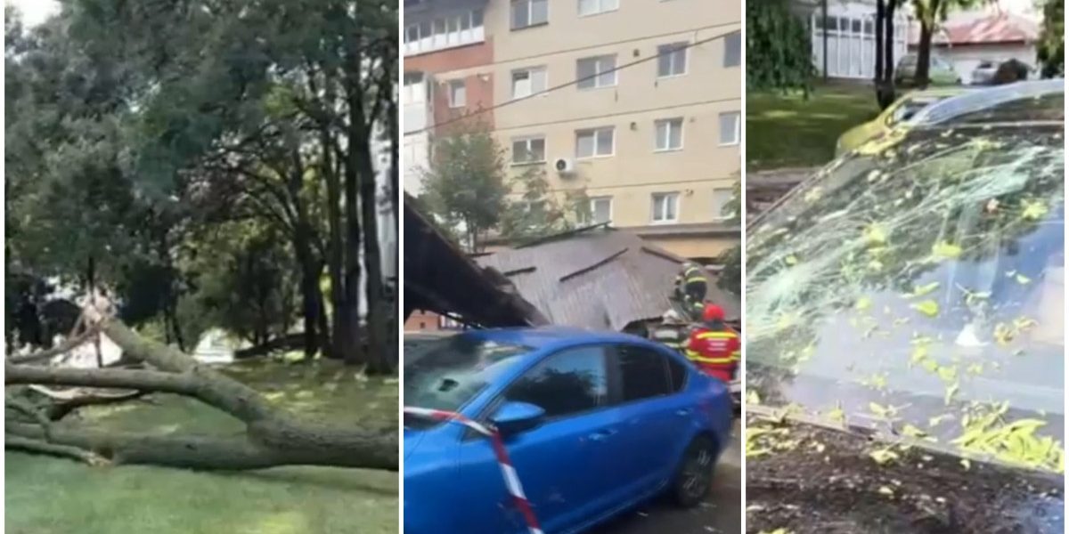 Vânt puternic: Copaci doborâți, acoperiș peste mașini