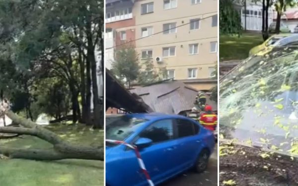 Vânt puternic: Copaci doborâți, acoperiș peste mașini