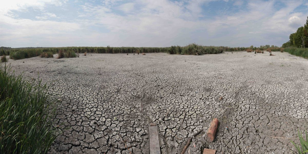 Seceta persistă! Ploile de vară, ineficiente: Climatolog explică
