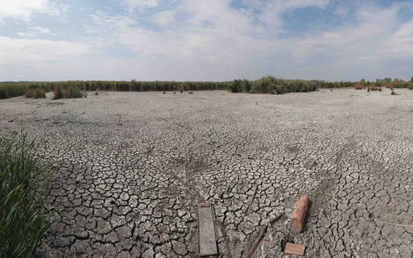 Seceta persistă! Ploile de vară, ineficiente: Climatolog explică