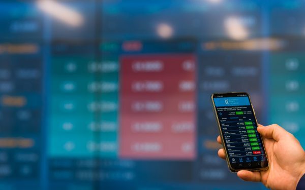 ETF-urile, vedetele bursei: randamente uimitoare anul acesta