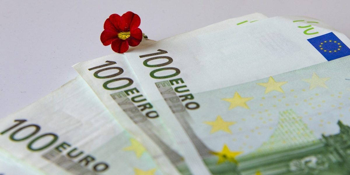 AFIR: Fermierii cer 5 mil. EUR pentru flori și plante din 1 septembrie