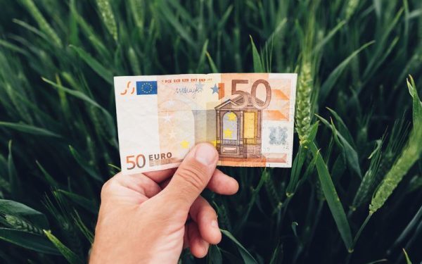 Fermele mici iau 50.000 EUR! Ghid AFIR oficial, grilă punctaj