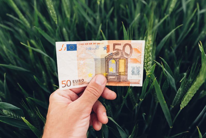 Fermele mici iau 50.000 EUR! Ghid AFIR oficial, grilă punctaj