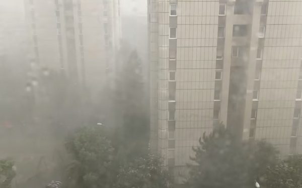 Brașovul sub asalt: furtună, copaci doborâți și garaje inundate