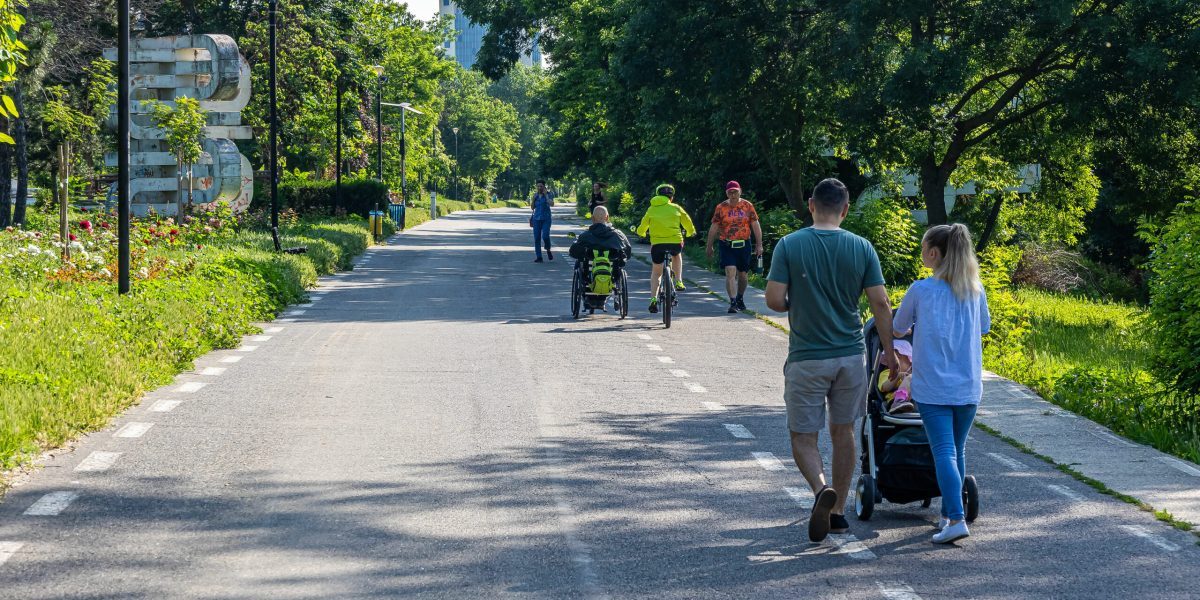 Buzoianu: Tăieri de sute de copaci pe faleza din Galați. Primăria să asculte