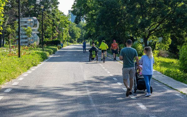 Buzoianu: Tăieri de sute de copaci pe faleza din Galați. Primăria să asculte