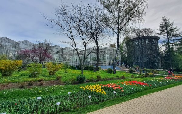 România are prima sa grădină botanică