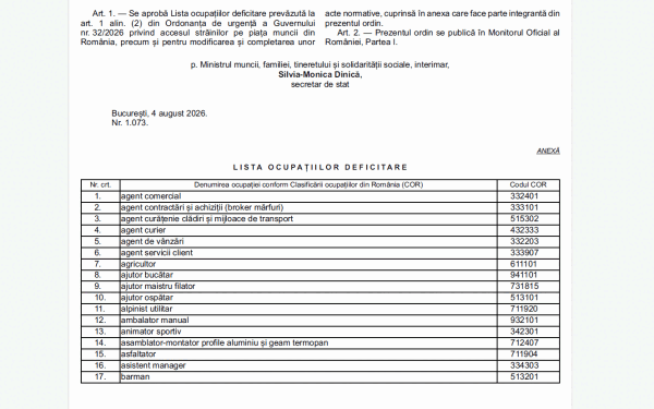Străinii non-UE primesc noi joburi în România. Lista extinsă