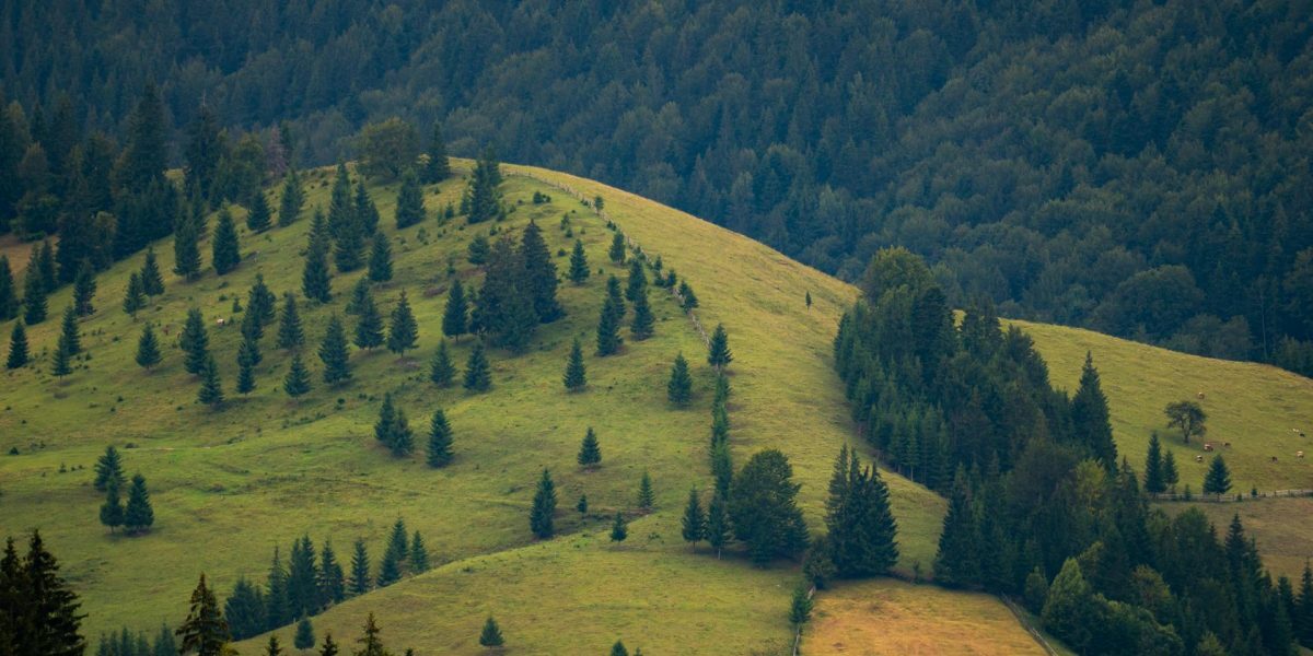 Banii pentru bio-România: 972 mil. € vs. realitatea cruntă