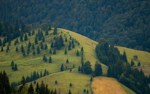 Banii pentru bio-România: 972 mil. € vs. realitatea cruntă