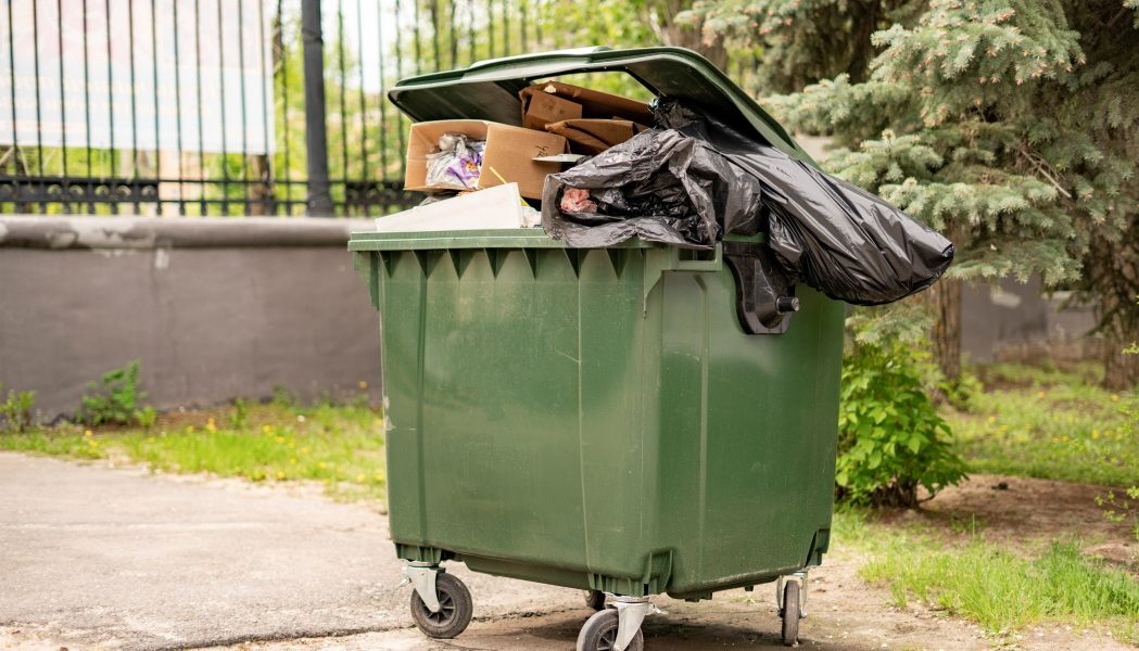 Tomberoanele curate: Trucuri anti-muște pentru zile călduroase