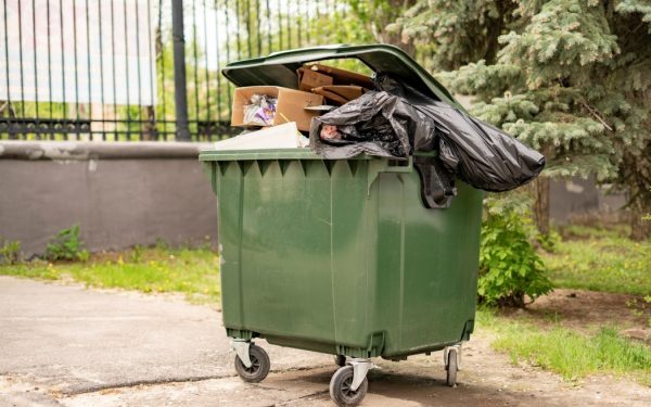 Tomberoanele curate: Trucuri anti-muște pentru zile călduroase