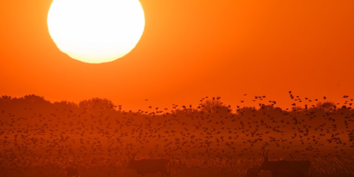Alertă meteo severă pentru trei județe mâine