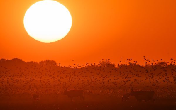 Alertă meteo severă pentru trei județe mâine