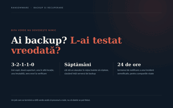 Backup testat? Companiile pierd tot după atacuri (P)