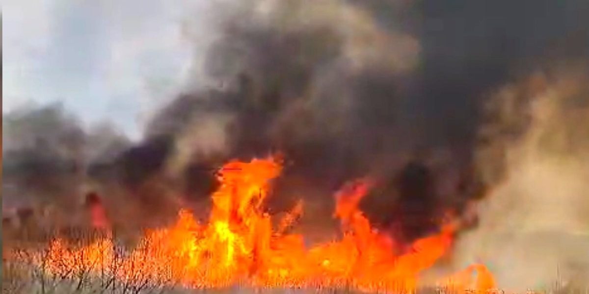 Vaslui: Incendiu devastează 50 ha de vegetație uscată