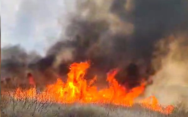 Vaslui: Incendiu devastează 50 ha de vegetație uscată