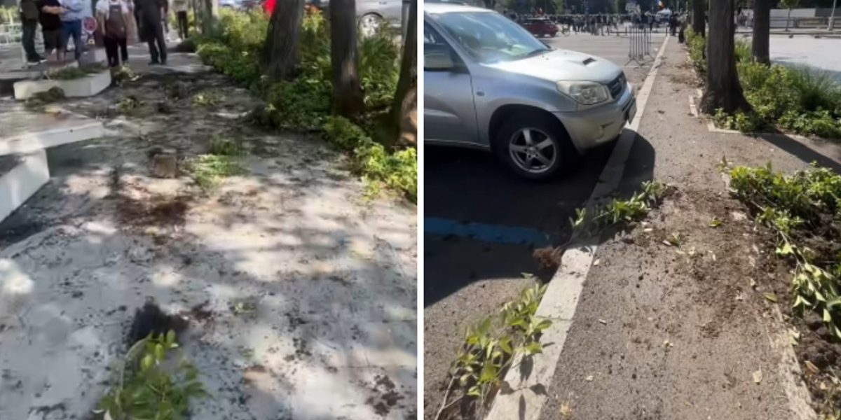 Primarul S1, sesizare DNA! Măsuri dure după haosul din Piața Victoriei
