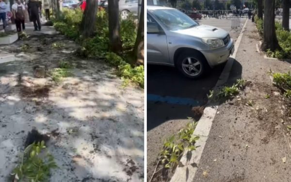 Primarul S1, sesizare DNA! Măsuri dure după haosul din Piața Victoriei