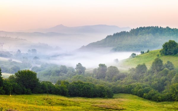 Frig pătrunzător în România, ninsori la munte. Cum e la București
