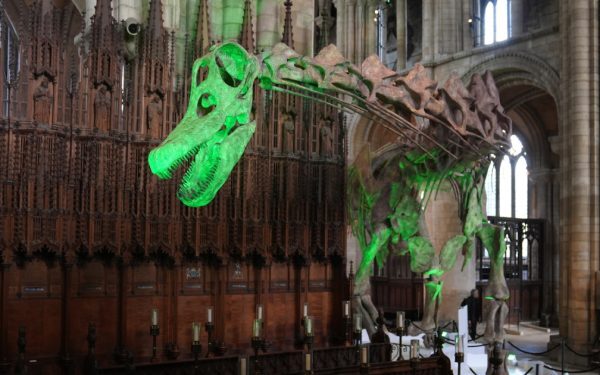 Dinozaurii, ingenioși: Incubatoare naturale în frig