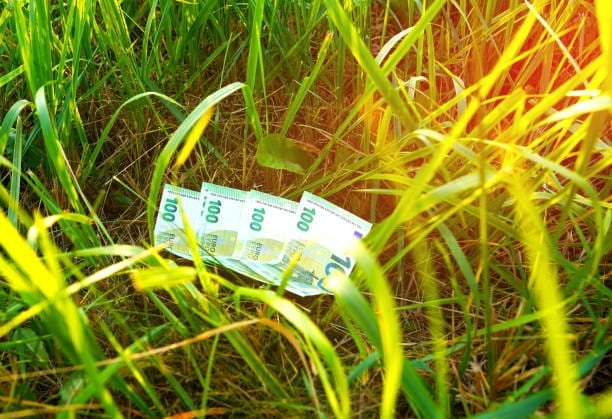 Hectarul de AUR: 60.000 euro profit din un singur lot
